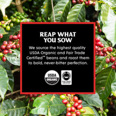 Light Roast + Medium Roast Single-Serve Pod Bundle